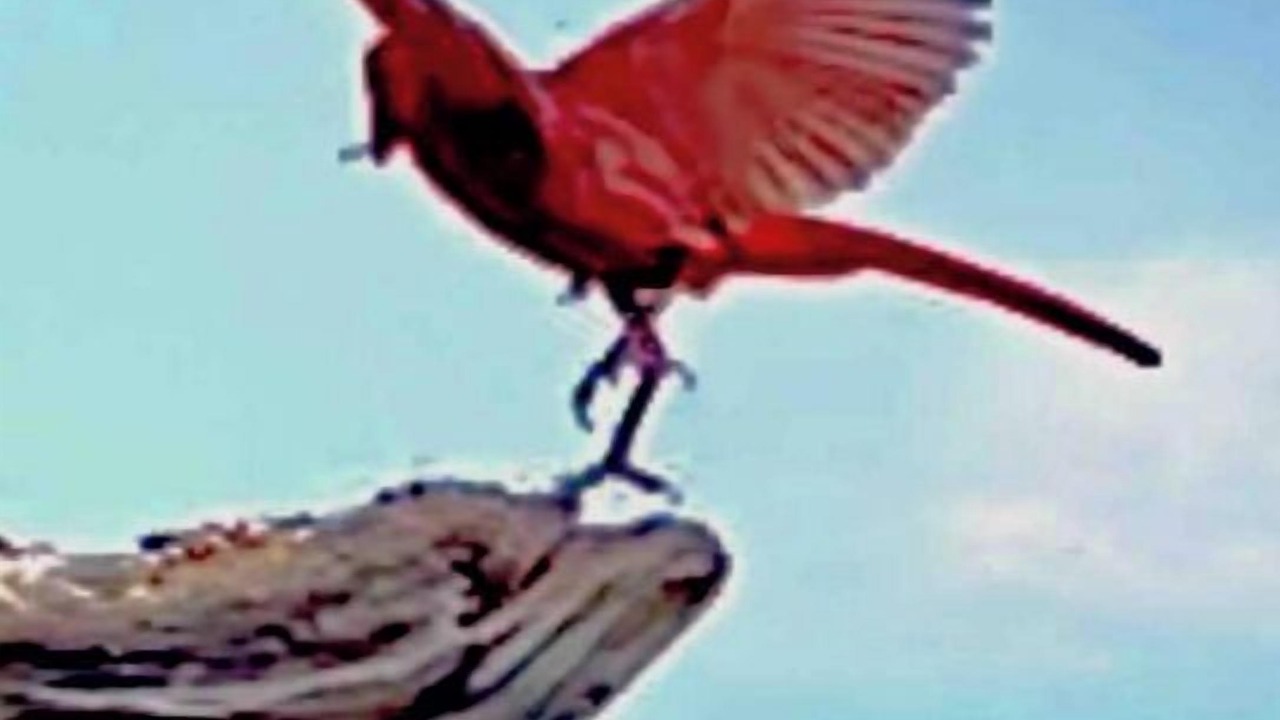 Photo of Others in Elizabeth City