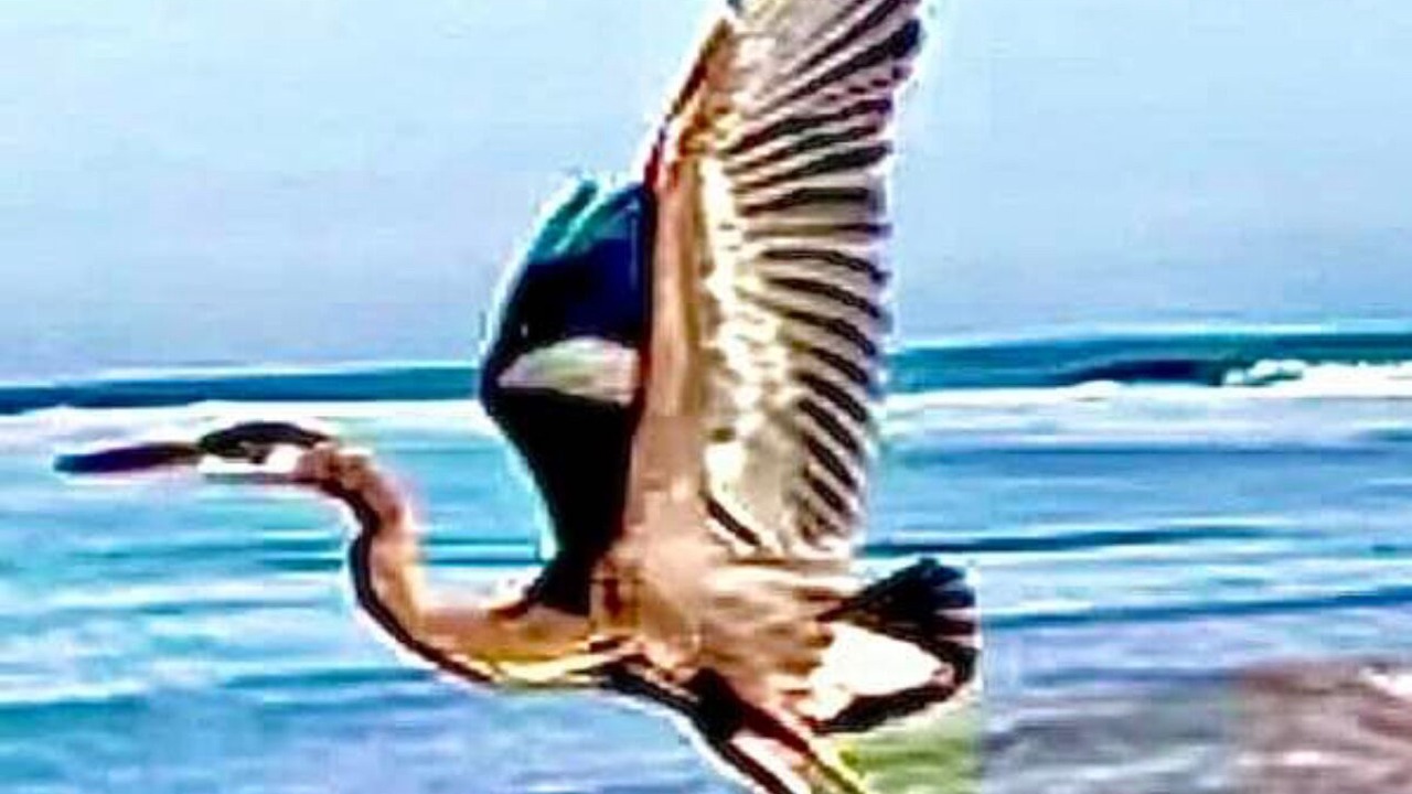 Photo of Others in Elizabeth City