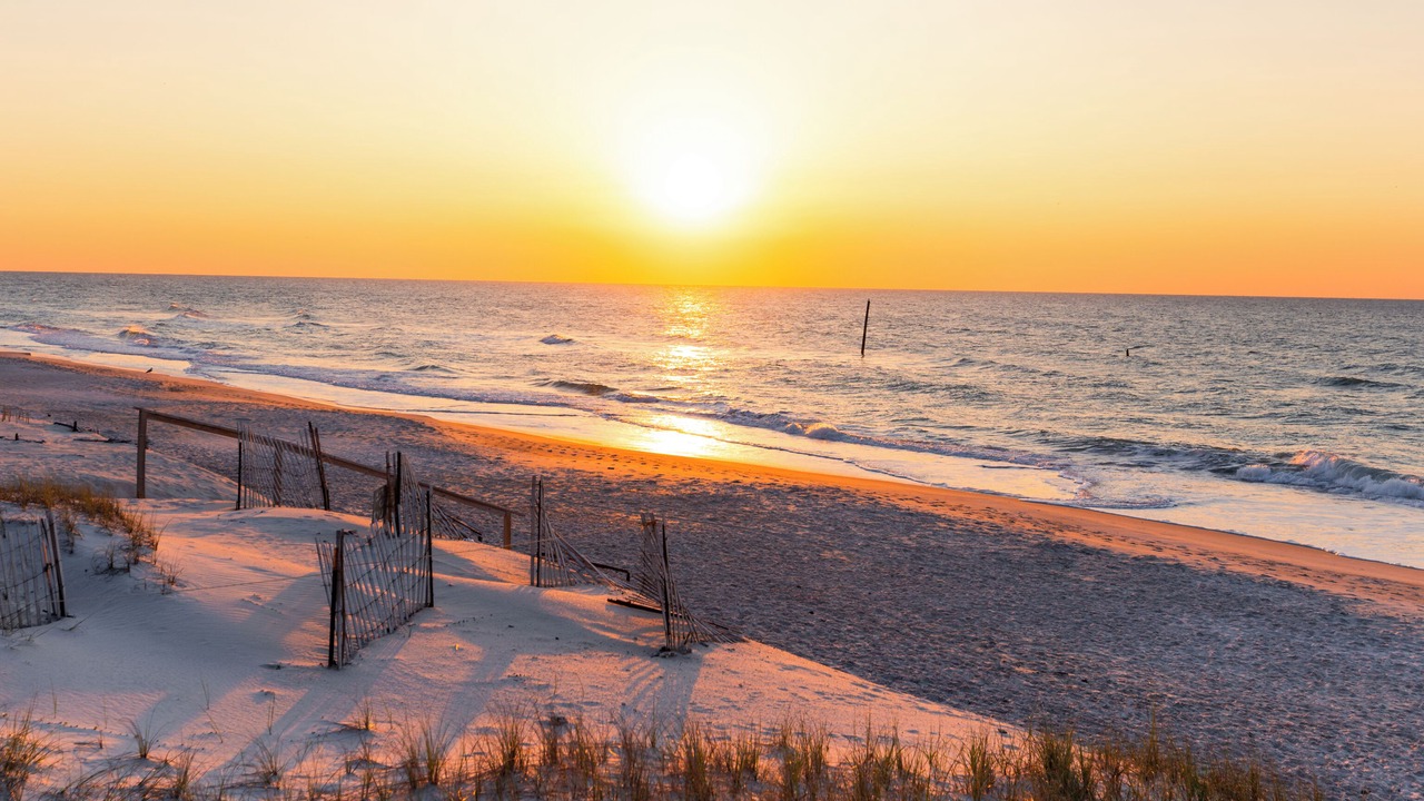 Photo of Others in Surf City