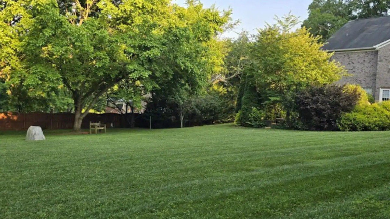 Photo of Outdoor in Mint Hill