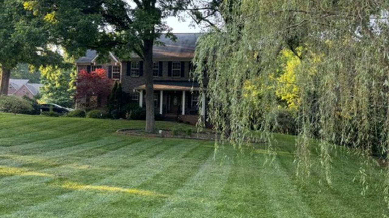 Photo of Outdoor in Mint Hill