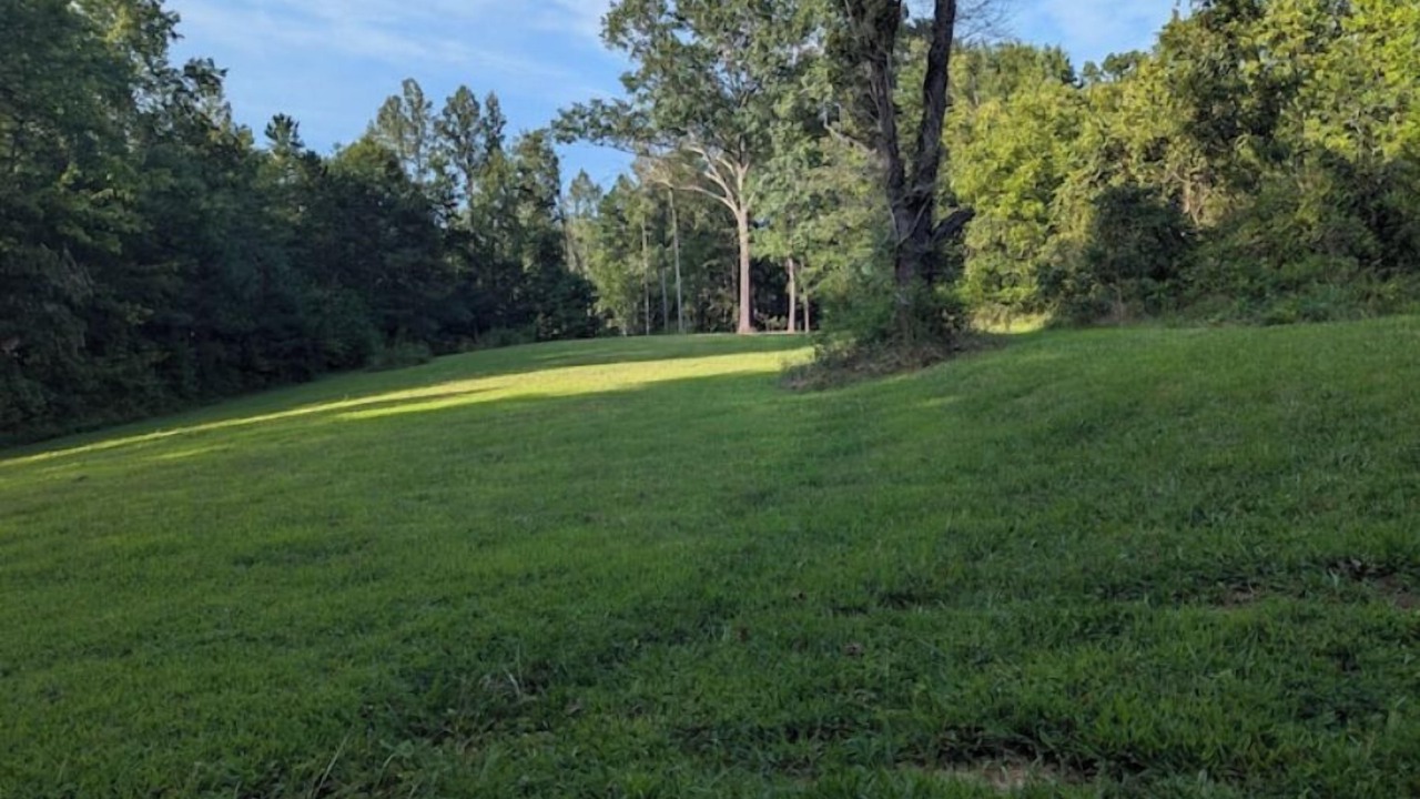 Photo of Others in Roxboro