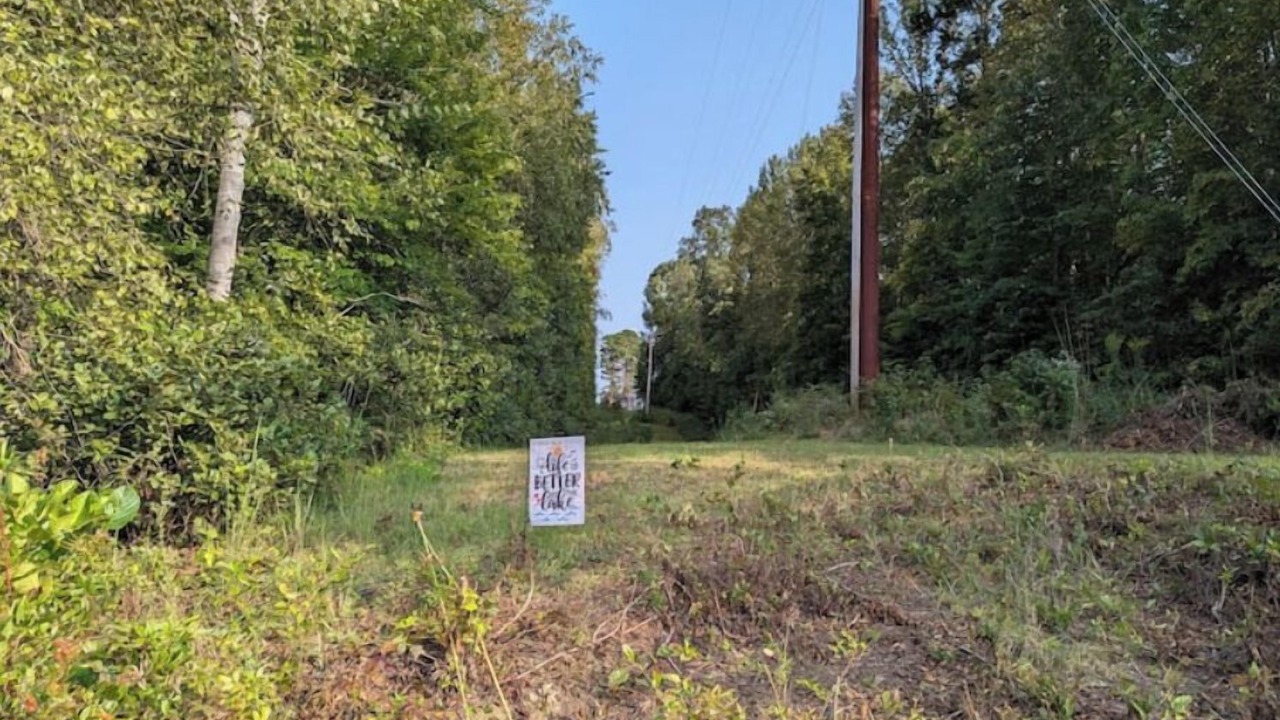Photo of Others in Roxboro