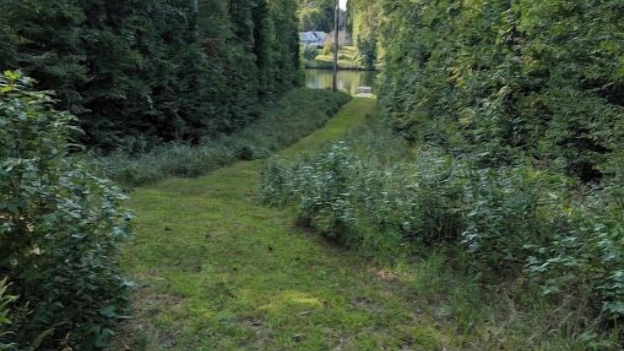 Photo of Others in Roxboro