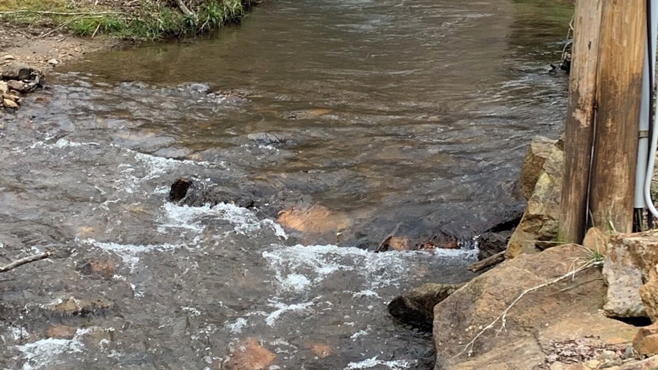 Photo of Others in Sylva