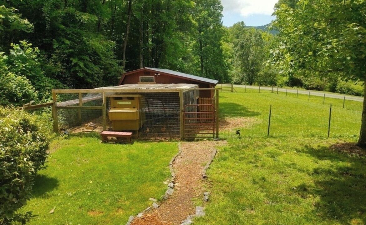 Photo of Outdoor in Sylva