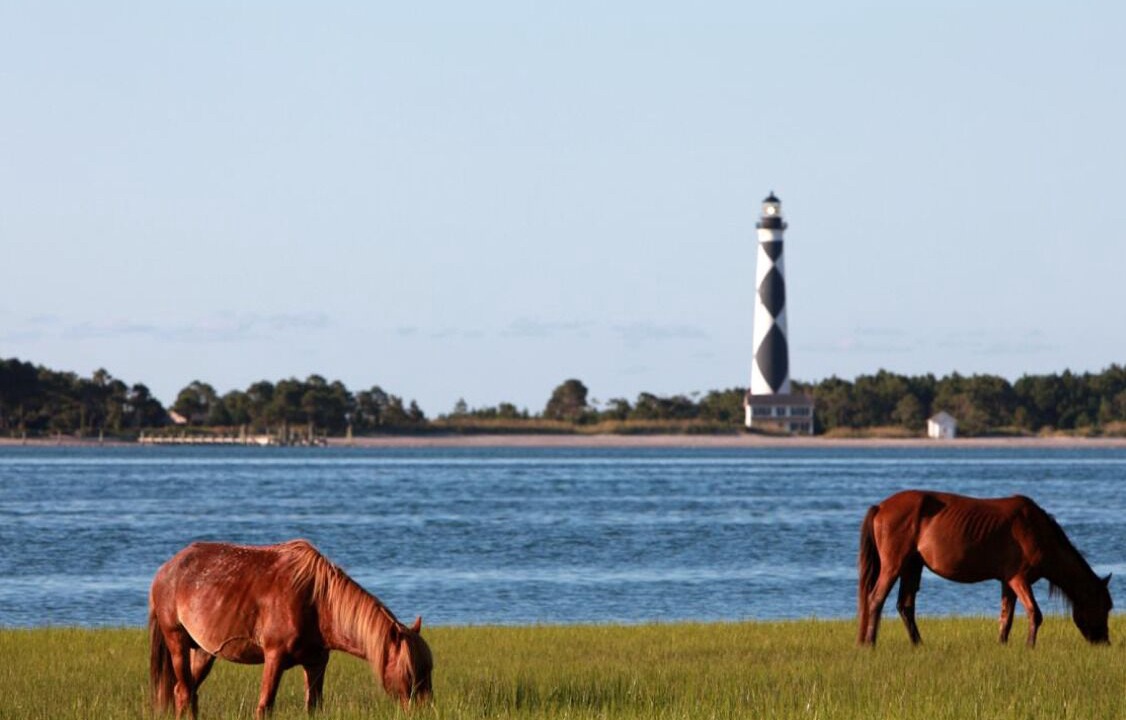 Photo of Others in Harkers Island