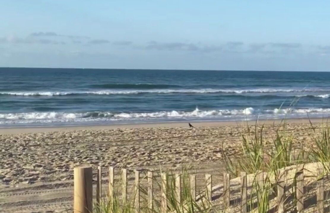 Photo of Others in Emerald Isle