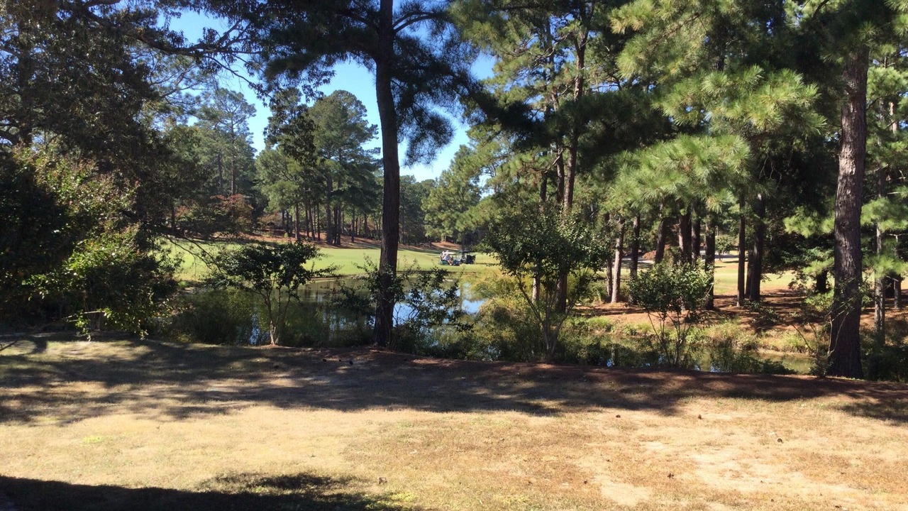 Photo of Others in Pinehurst
