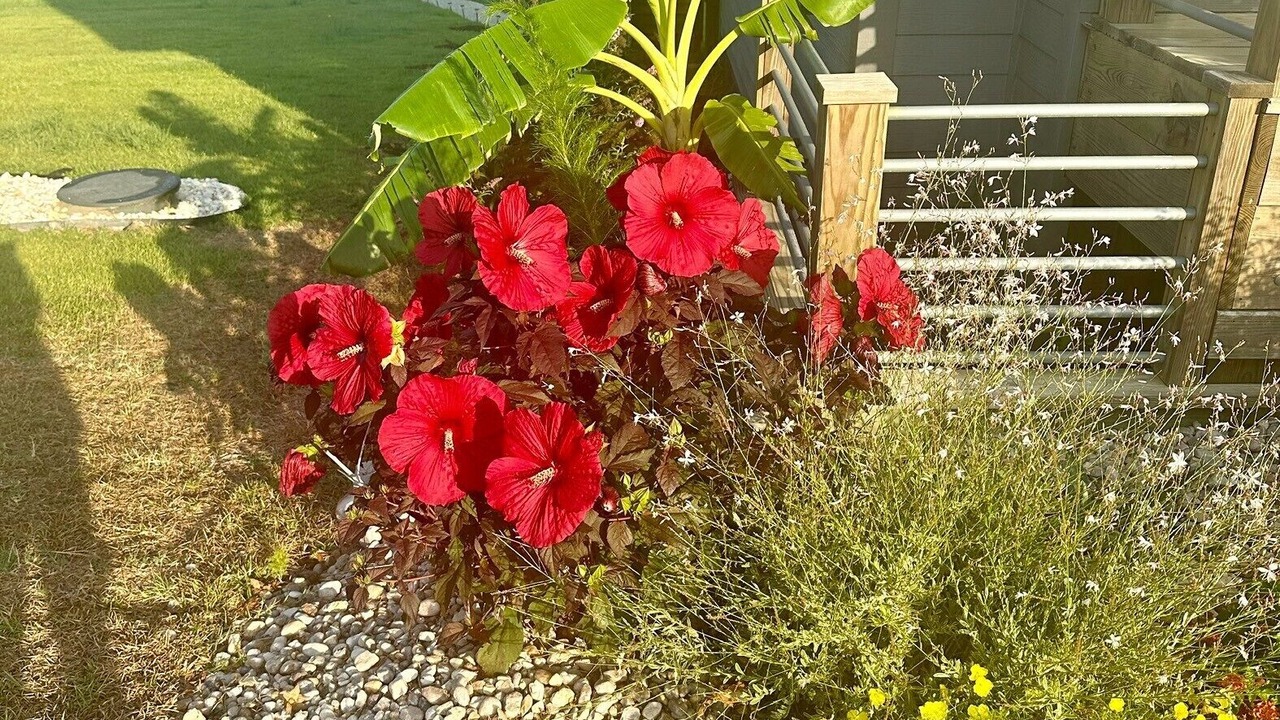 Photo of Outdoor in Hampstead
