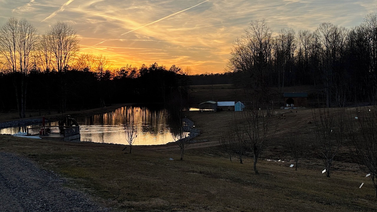 Photo of Others in Hamptonville