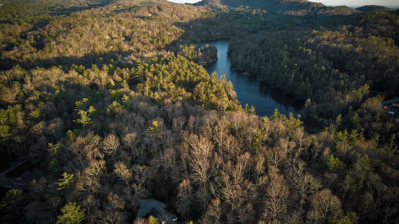 Photo of Outdoor in Lake Sequoyah