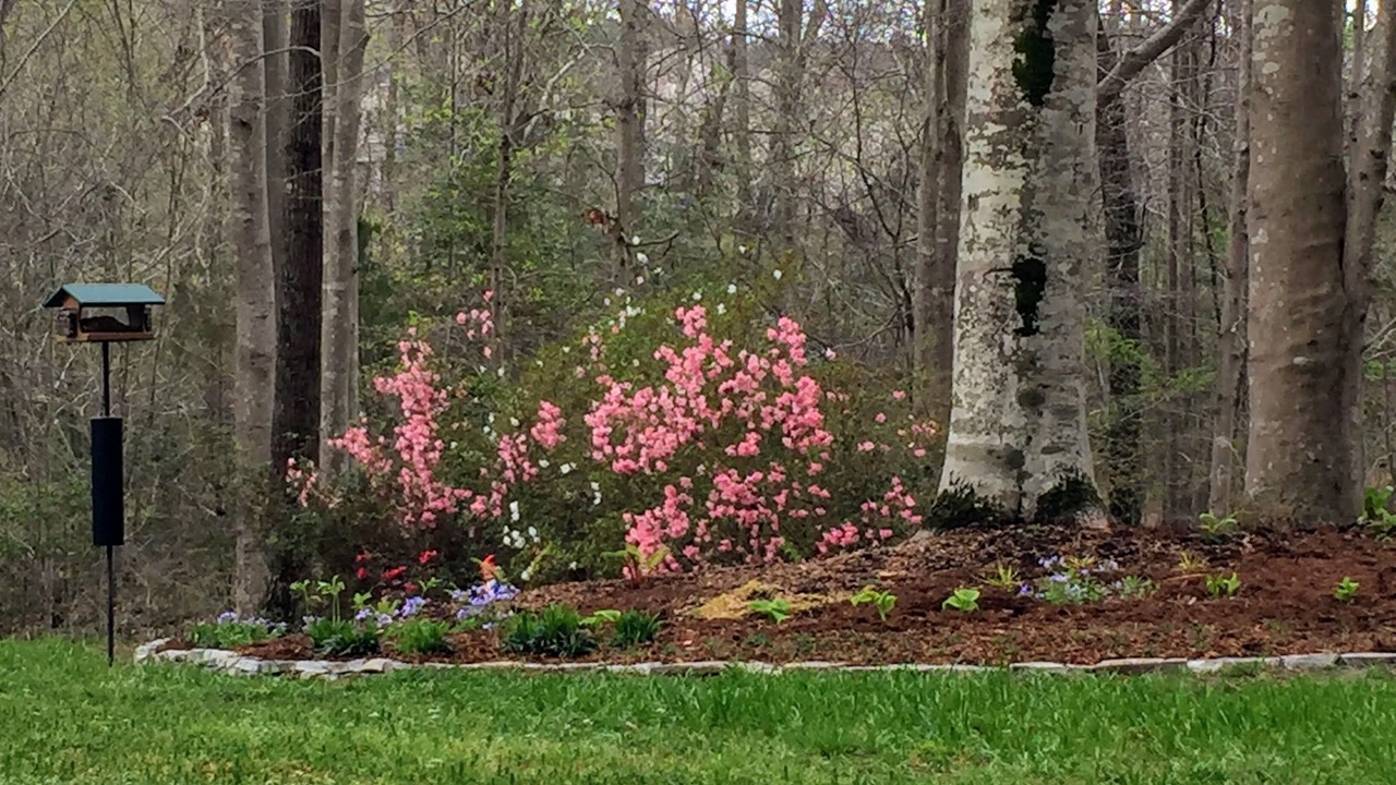 Photo of Others in Southeast Raleigh