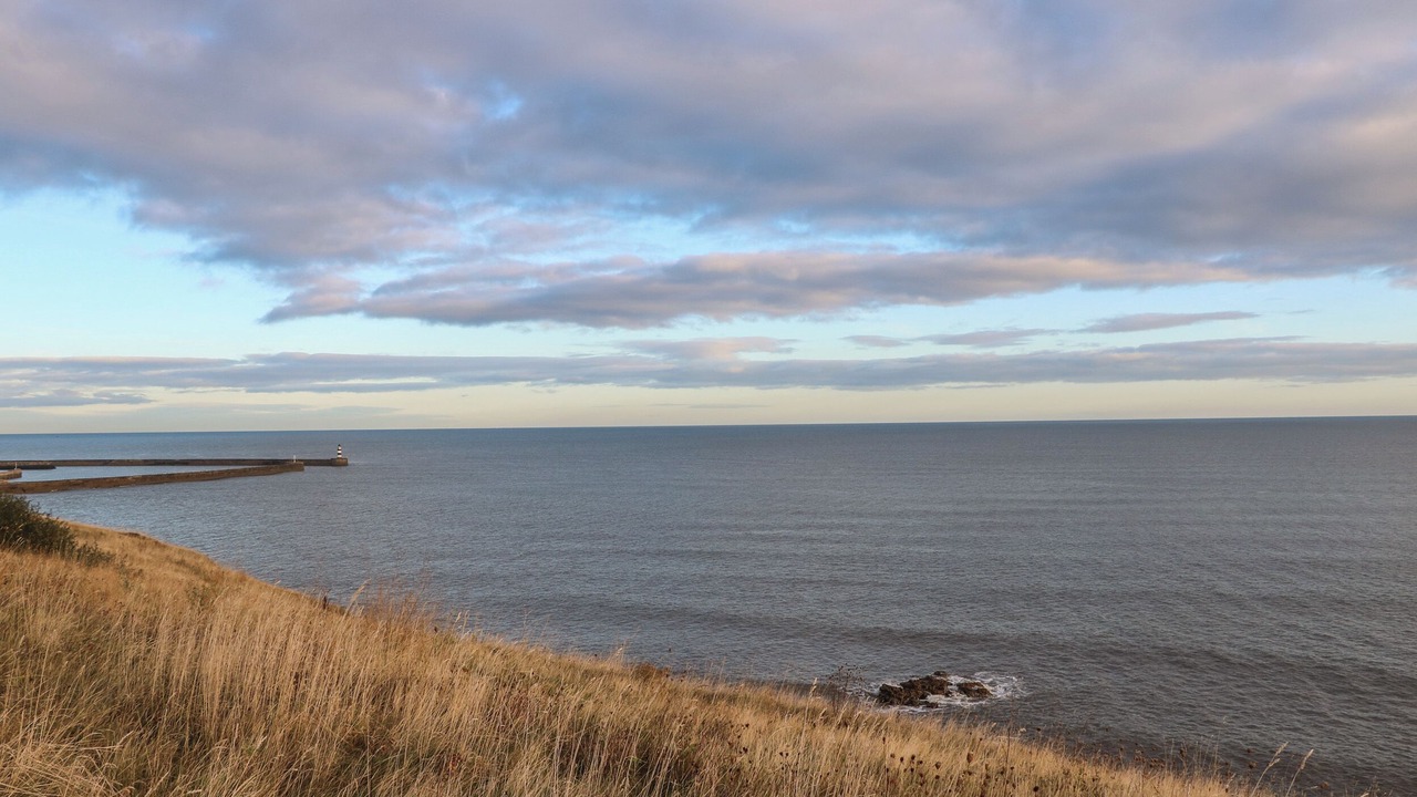 Photo of Others in Seaham