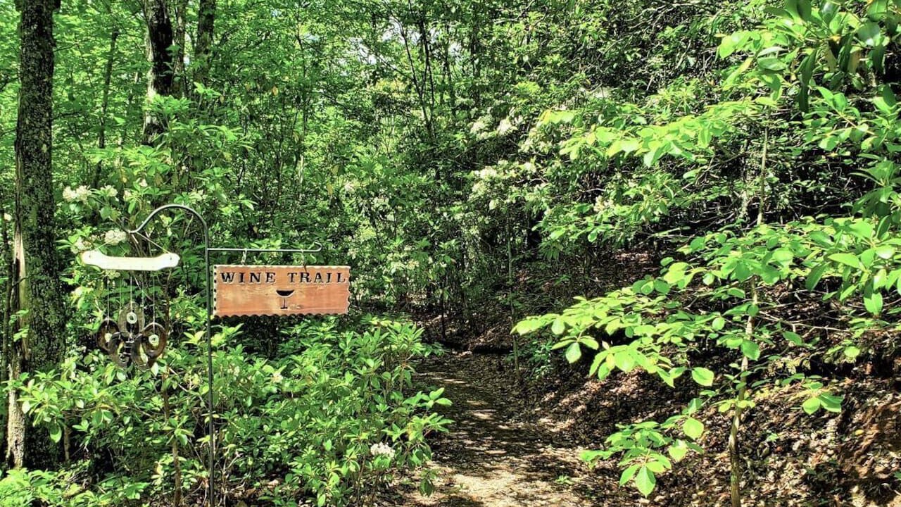 Photo of Outdoor in Franklin