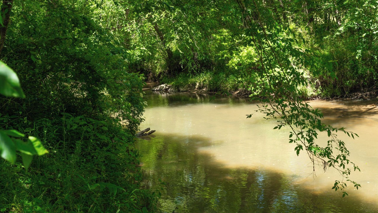 Photo of Others in Brasstown