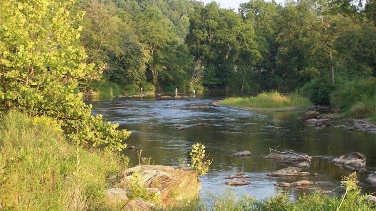 Photo of Others in Clyde