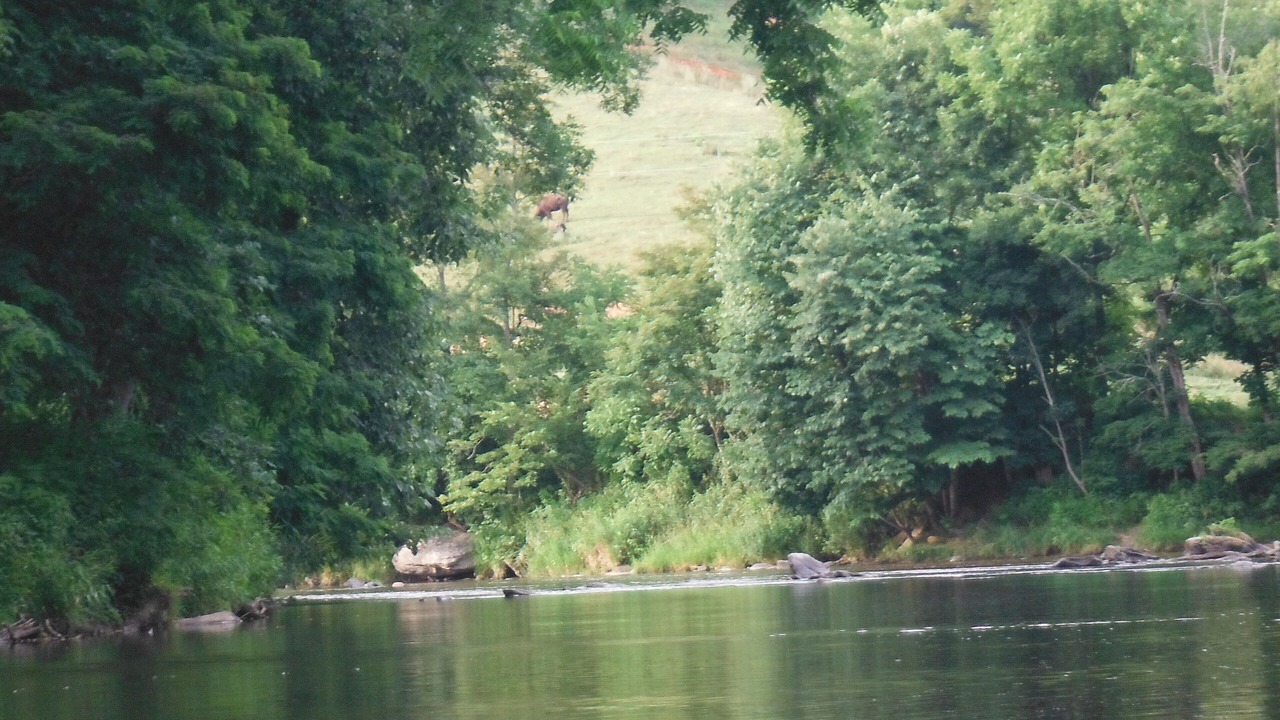Photo of Others in Clyde