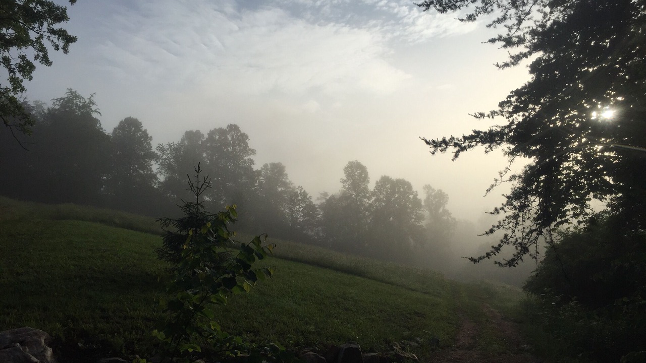 Photo of Others in Mount Airy