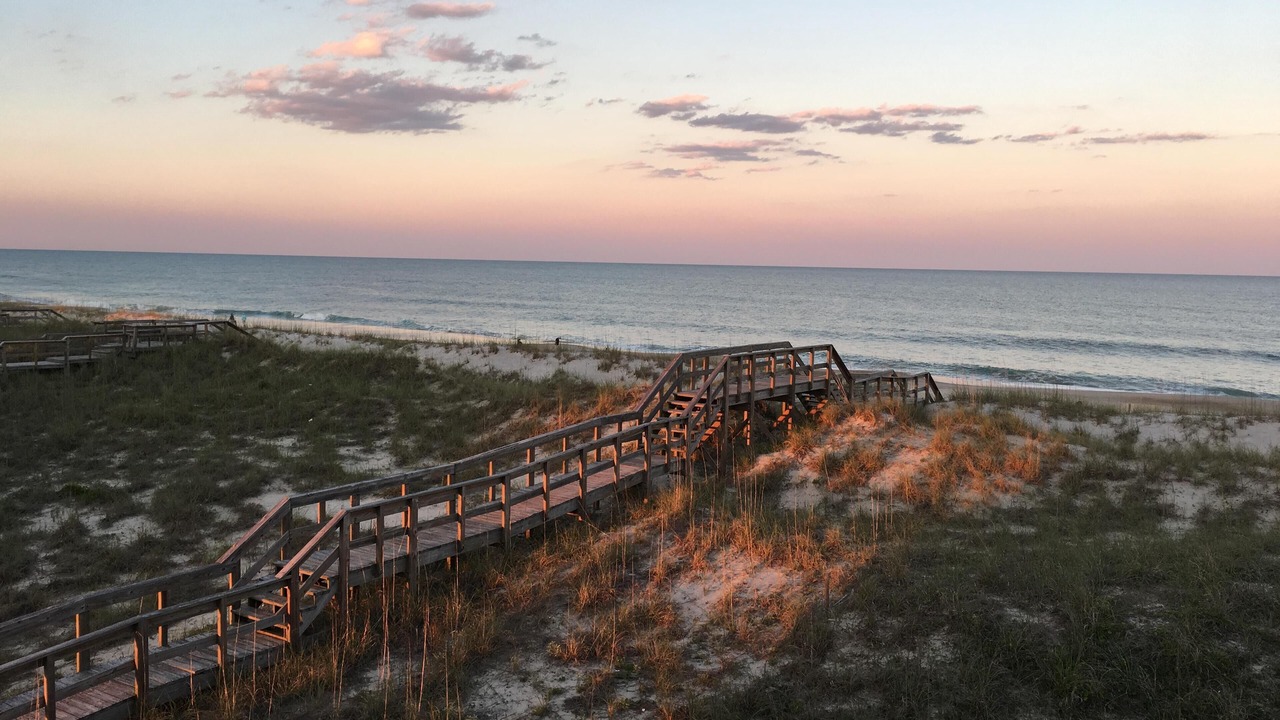 Photo of Others in Carolina Beach