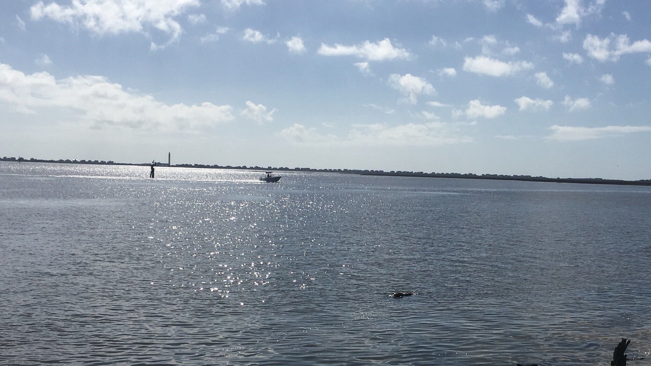 Photo of Others in Tranquil Harbour