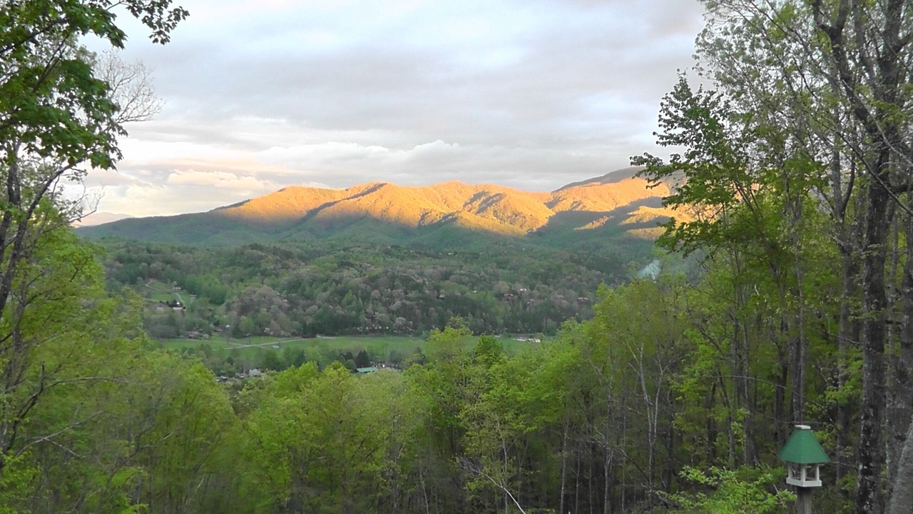 Photo of Outdoor in Bryson City