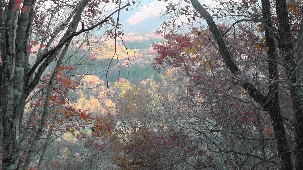 Photo of Others in Bryson City