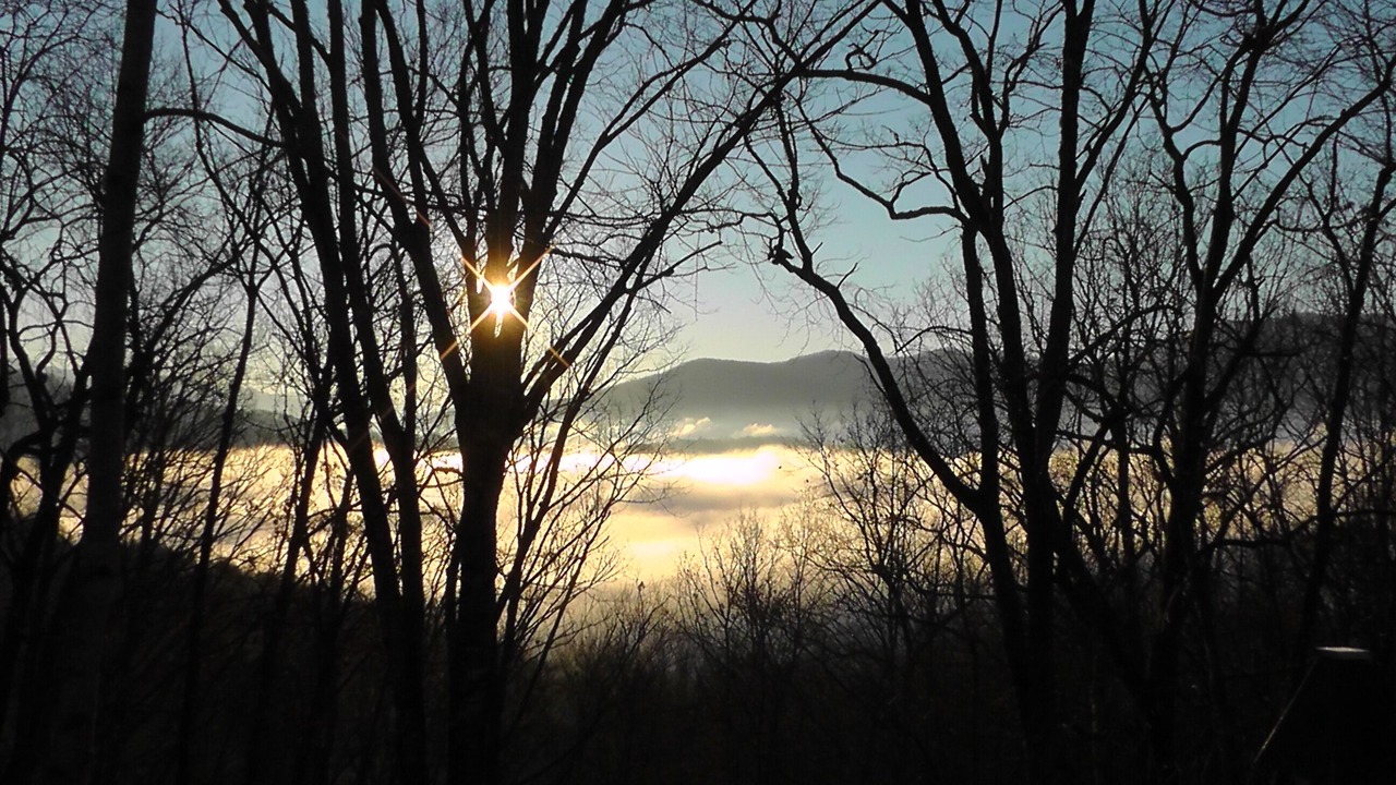 Photo of Others in Bryson City