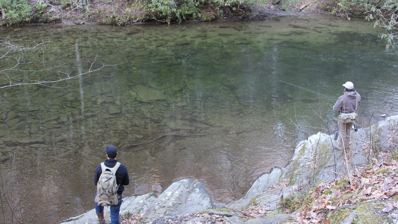 Photo of Others in Bryson City