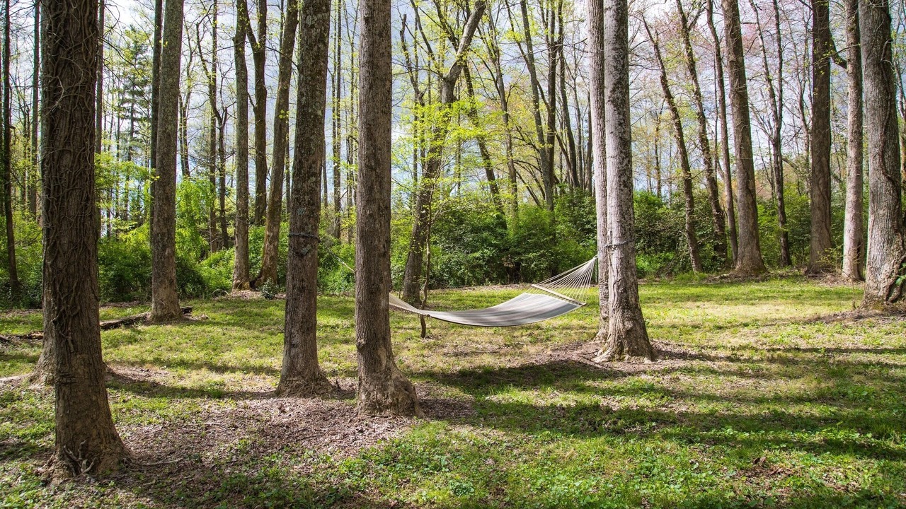 Photo of Outdoor in Brevard