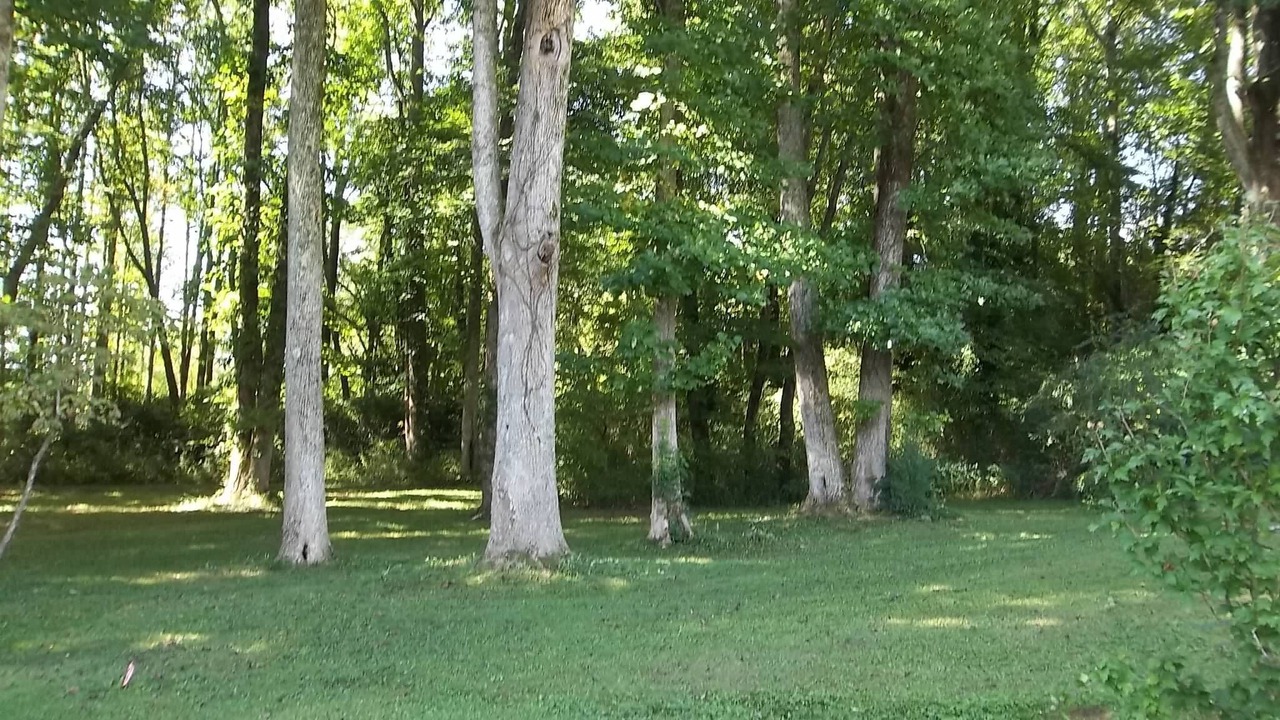 Photo of Others in Brevard