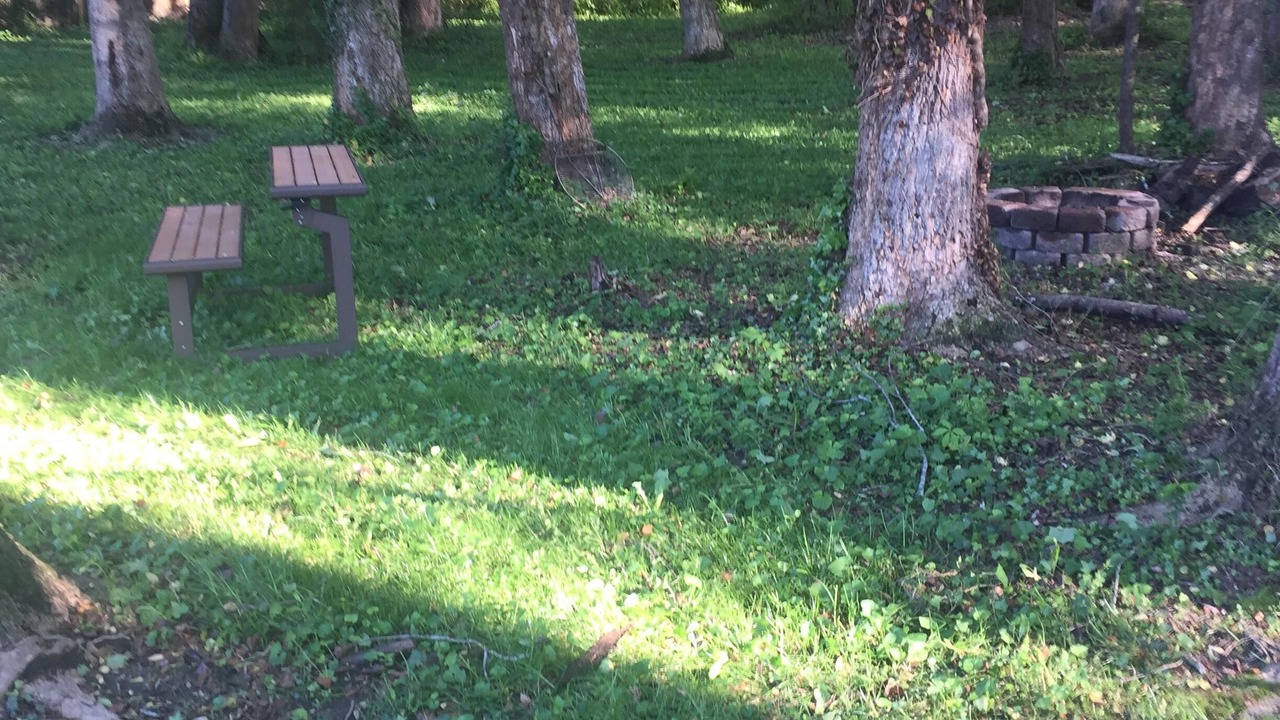 Photo of Outdoor in Brevard