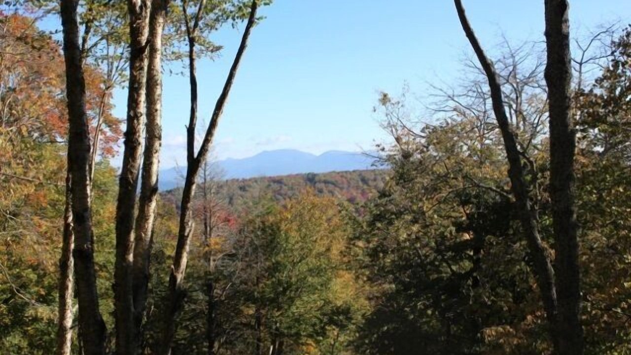 Photo of Others in Beech Mountain