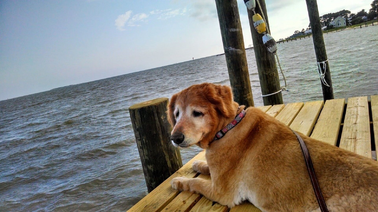 Photo of Others in Atlantic