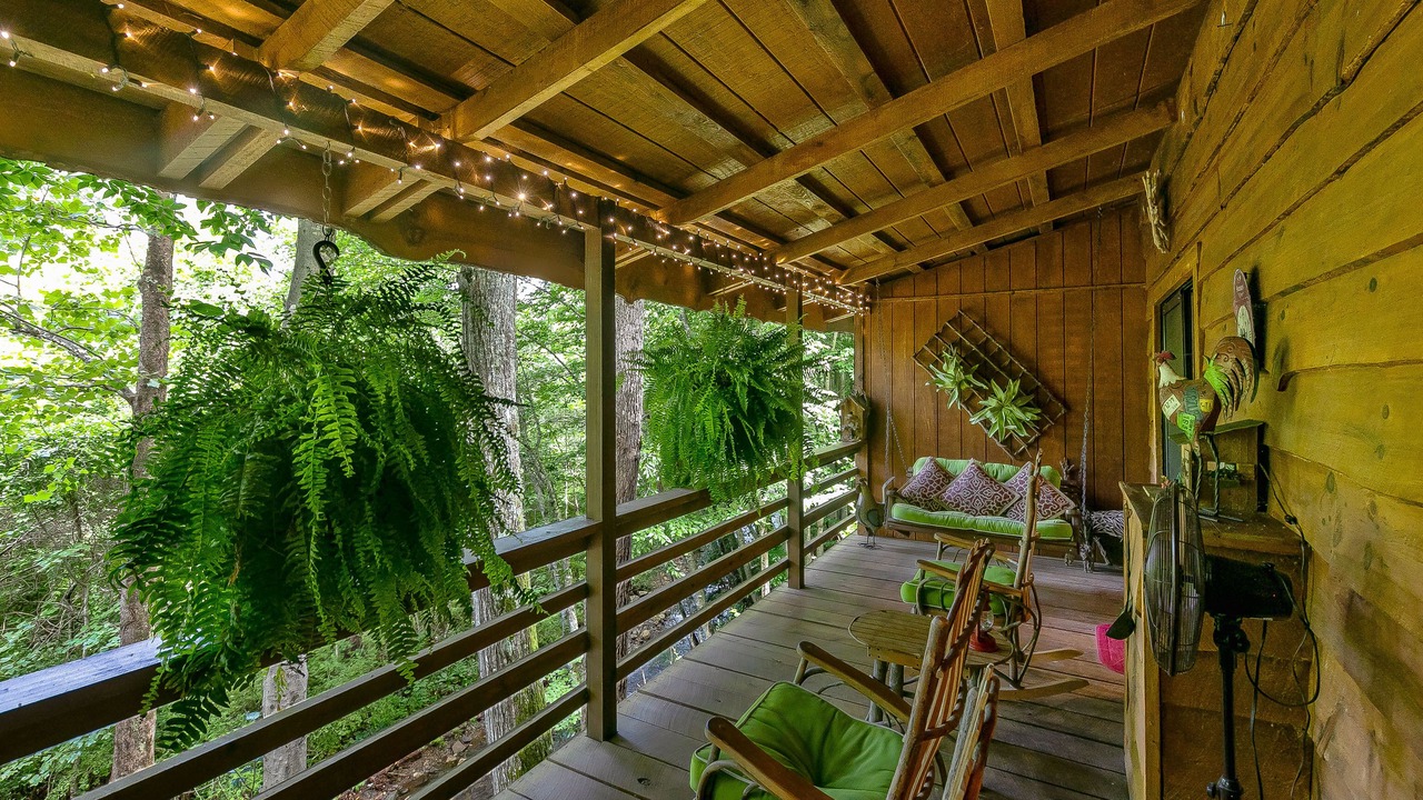 Photo of Outdoor in Candler