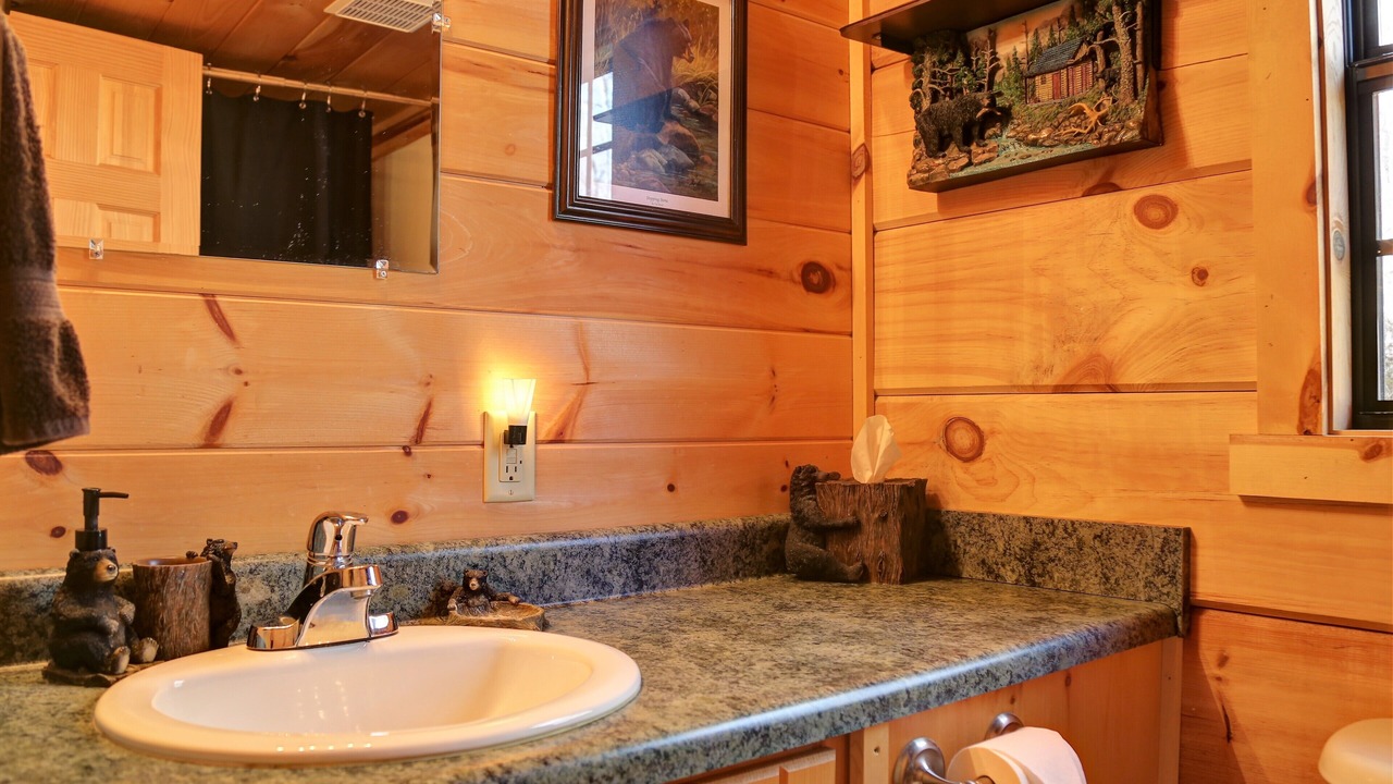 Photo of Bathroom in Topton