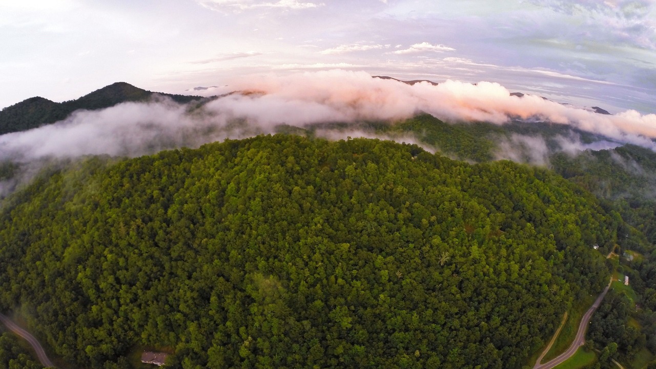 Photo of Outdoor in Topton