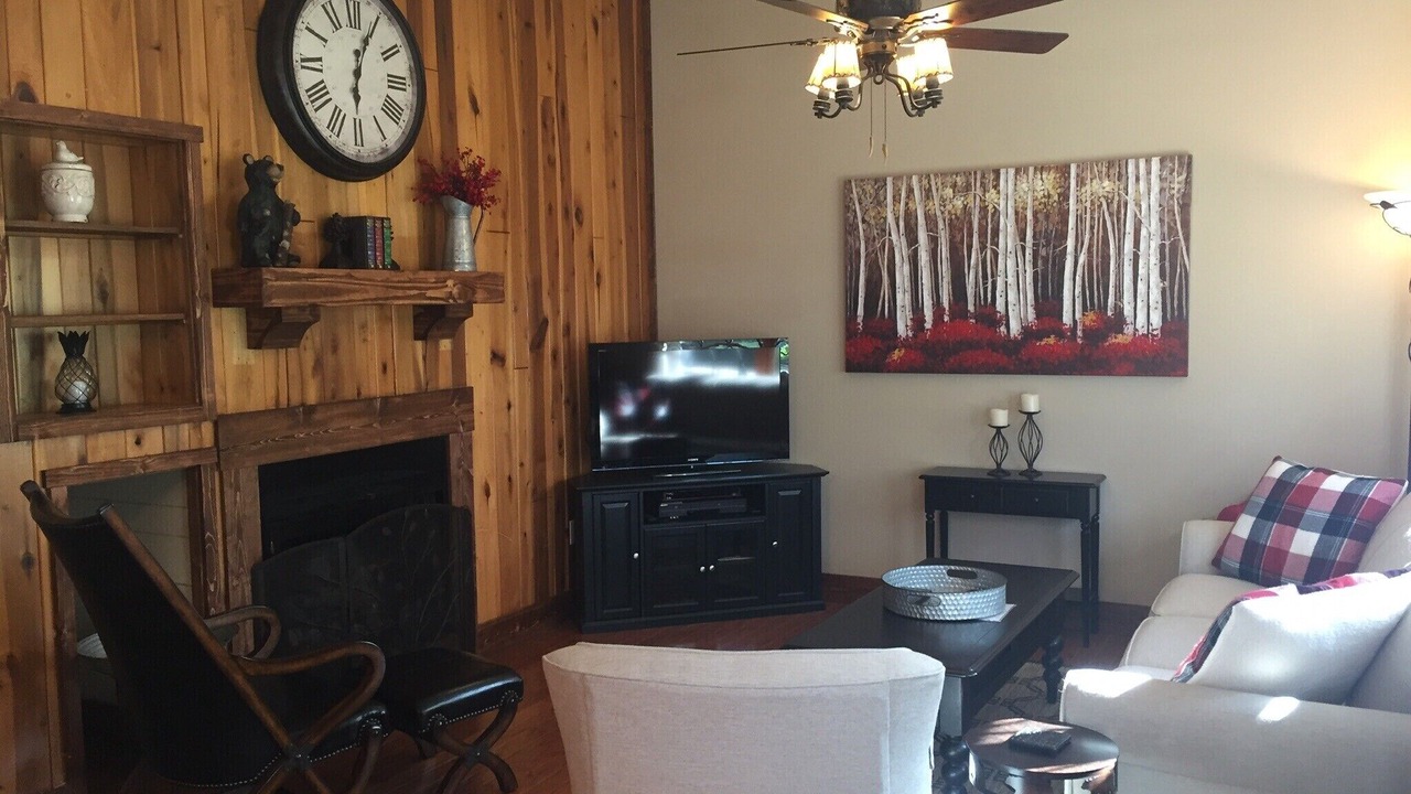 Photo of Livingroom in Burnsville