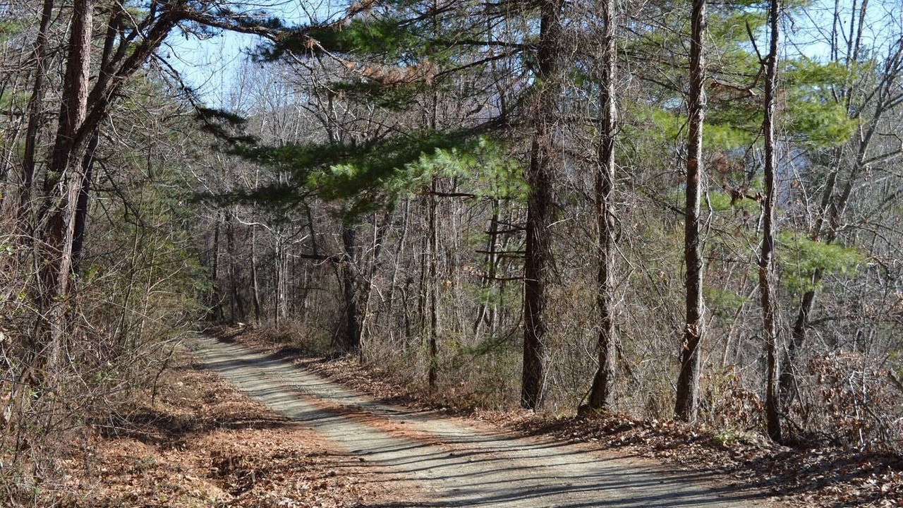 Photo of Others in Fletcher