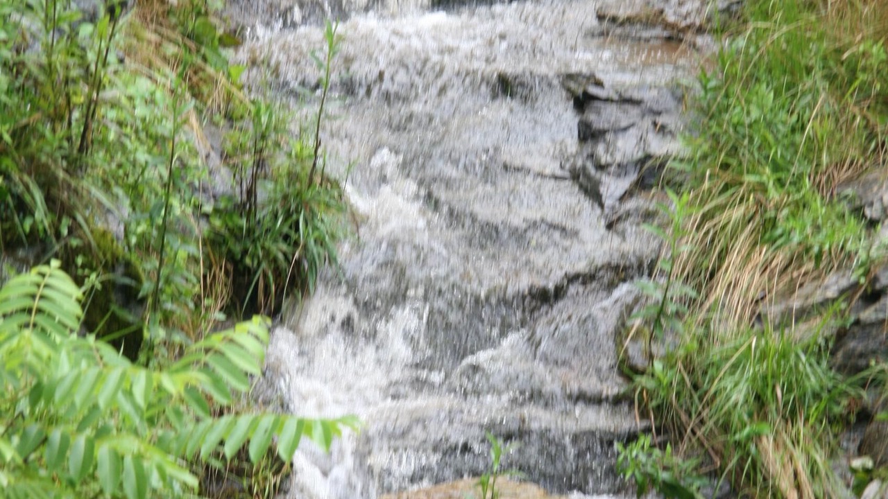 Photo of Outdoor in Hendersonville