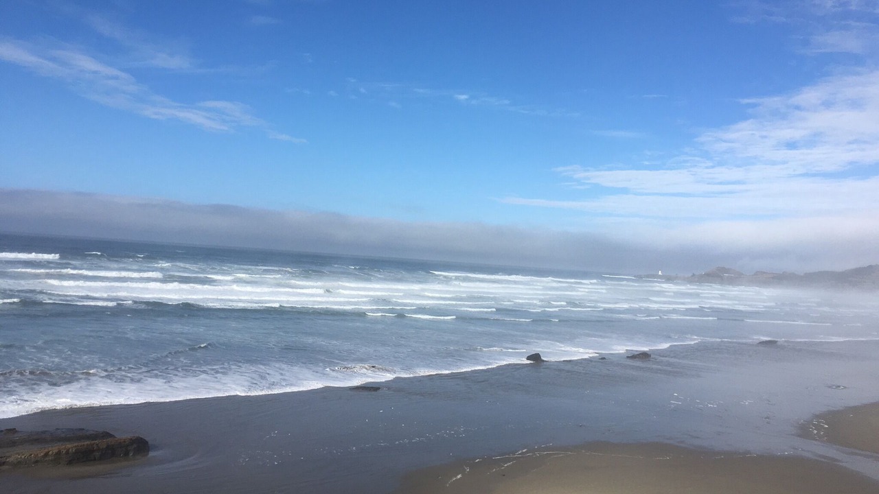 Photo of Others in Atlantic Beach