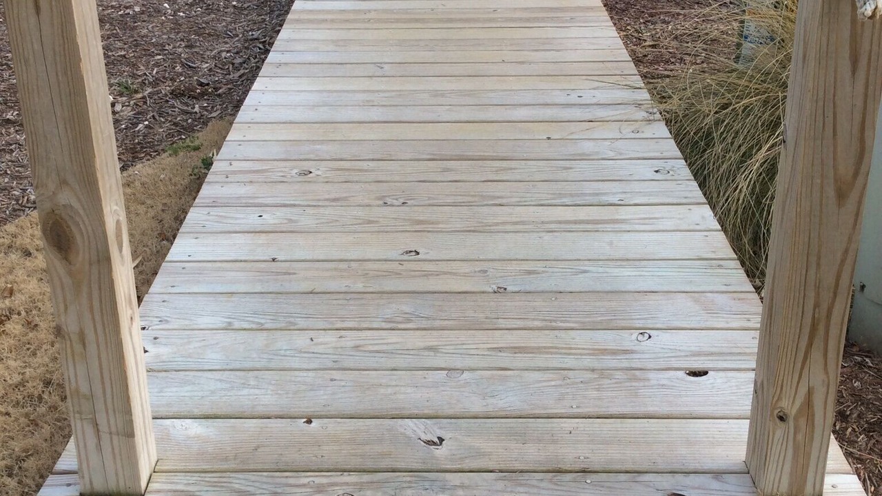 Photo of Outdoor in Atlantic Beach