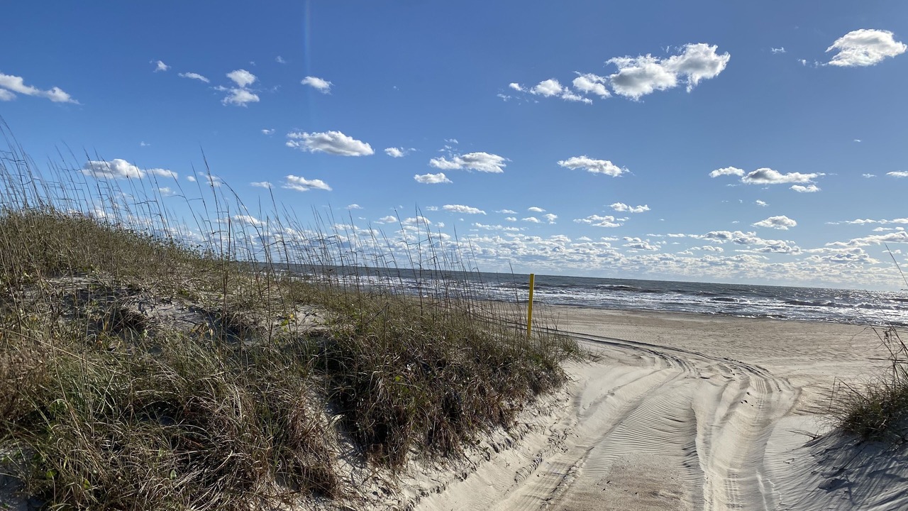 Photo of Others in Atlantic Beach