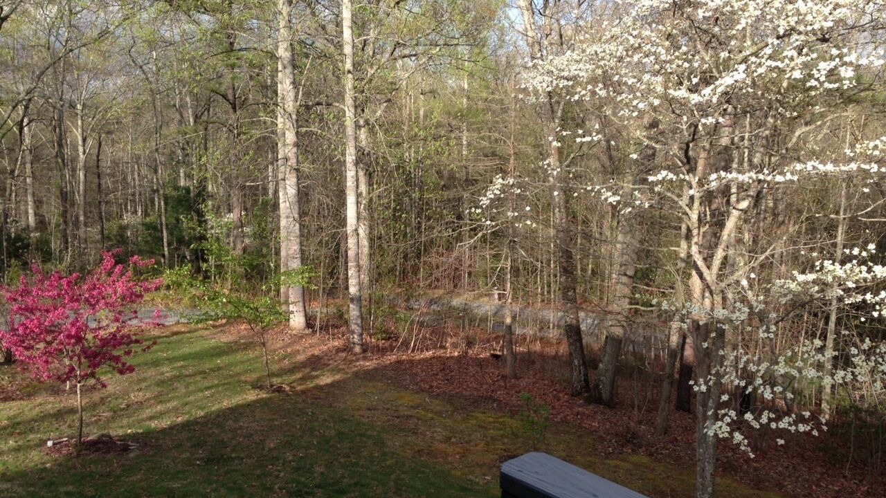 Photo of Others in Hendersonville