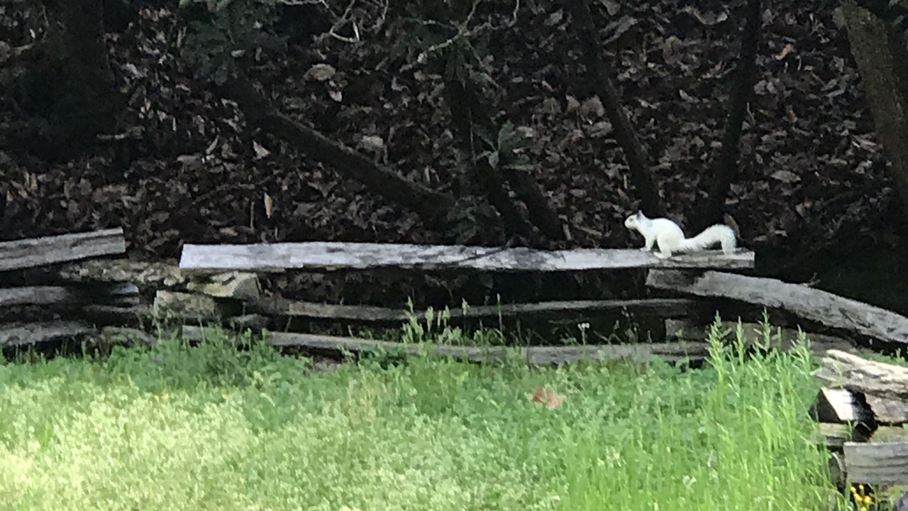 Photo of Others in Hendersonville