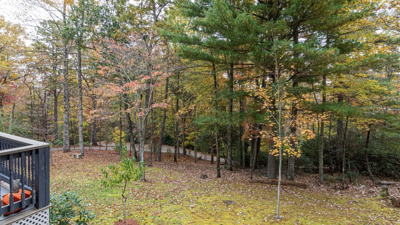 Photo of Outdoor in Hendersonville