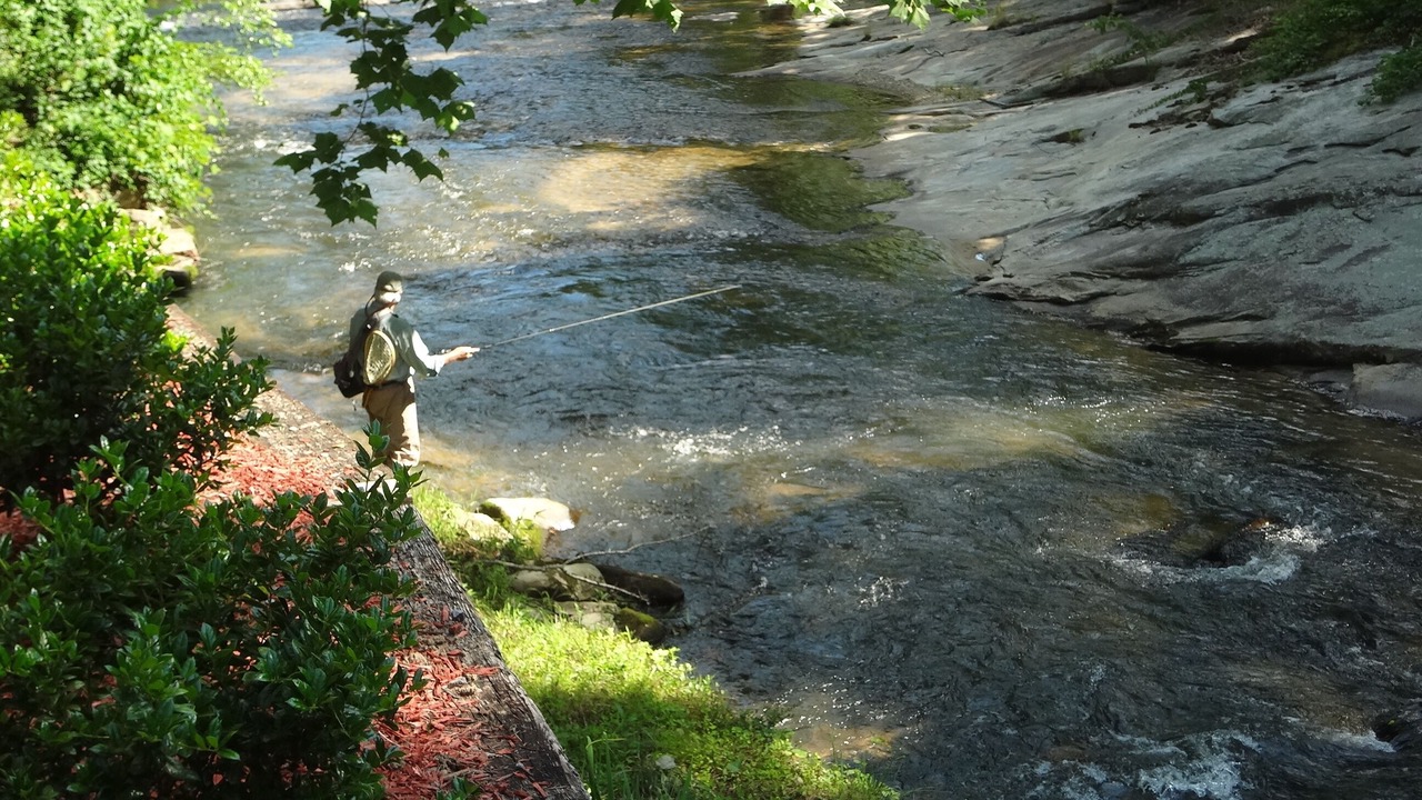 Photo of Others in Traphill