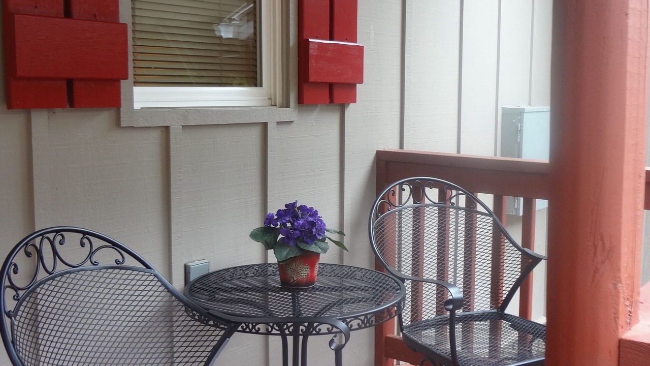 Photo of Outdoor in Traphill