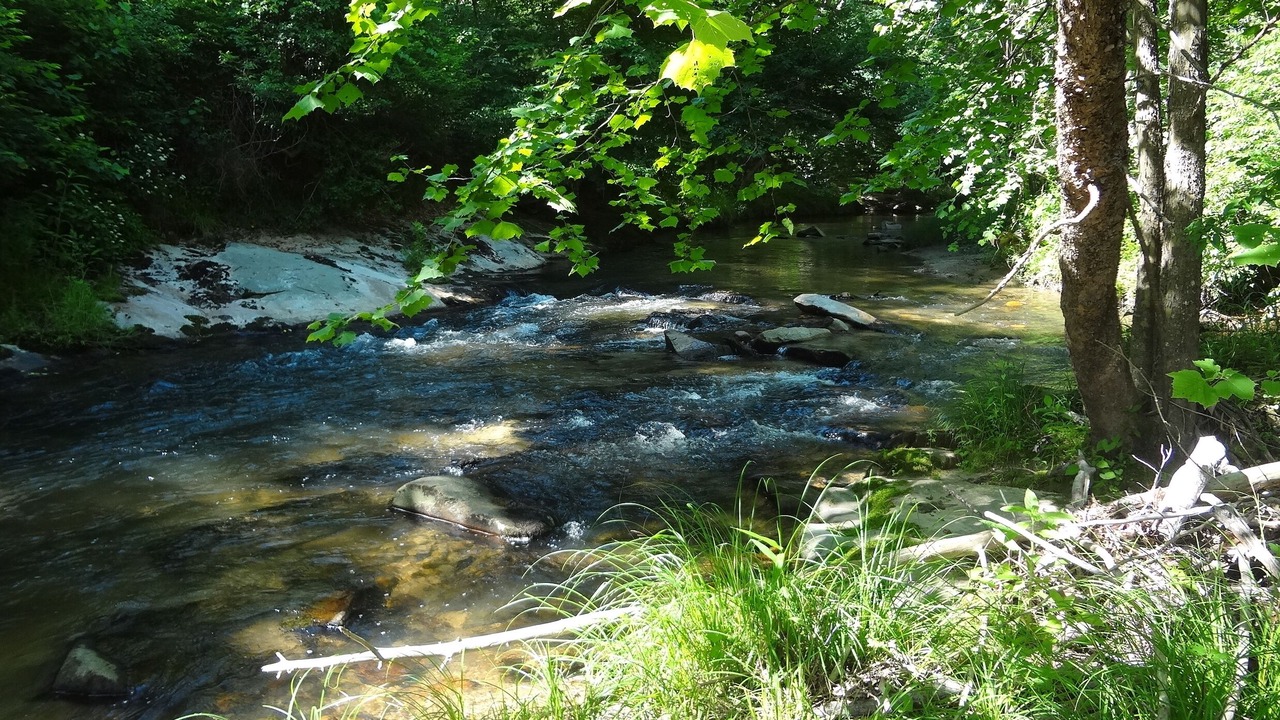 Photo of Outdoor in Traphill