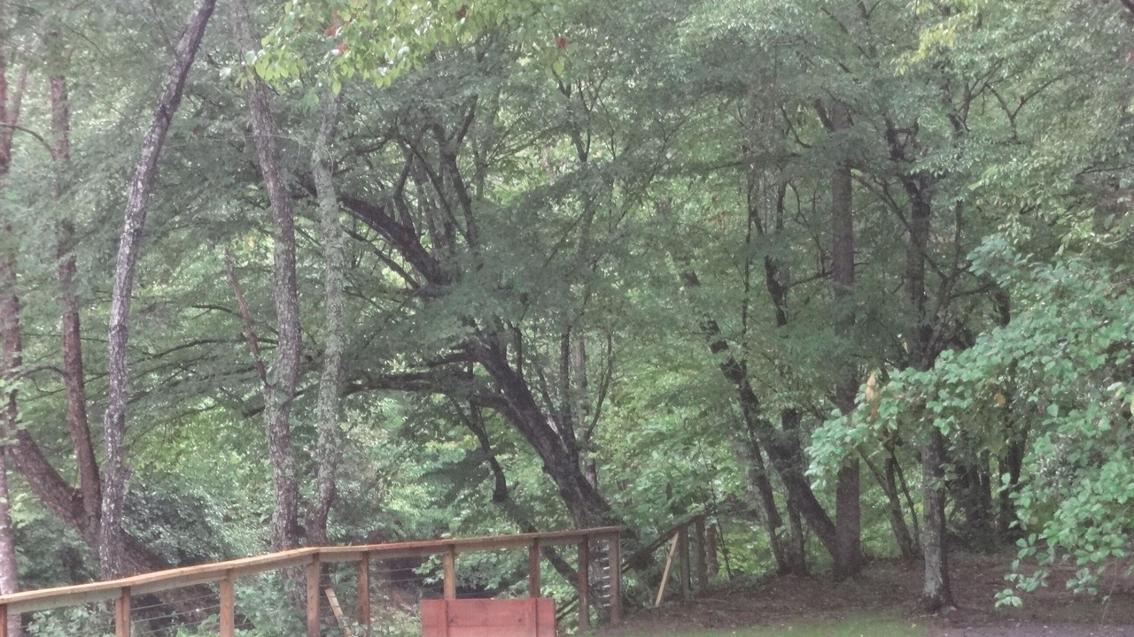 Photo of Others in Traphill